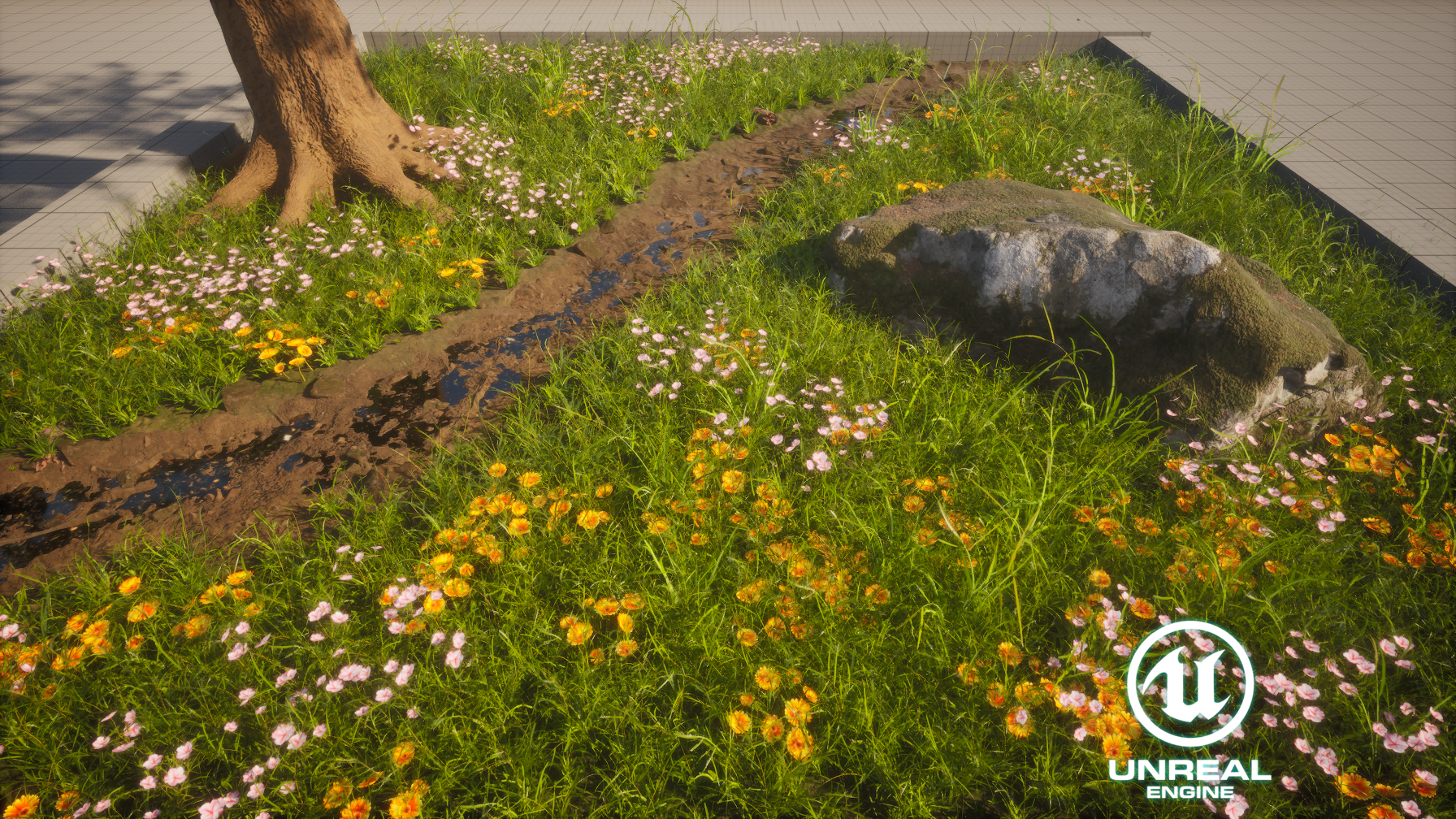 Spring Path (Foliage Study)
